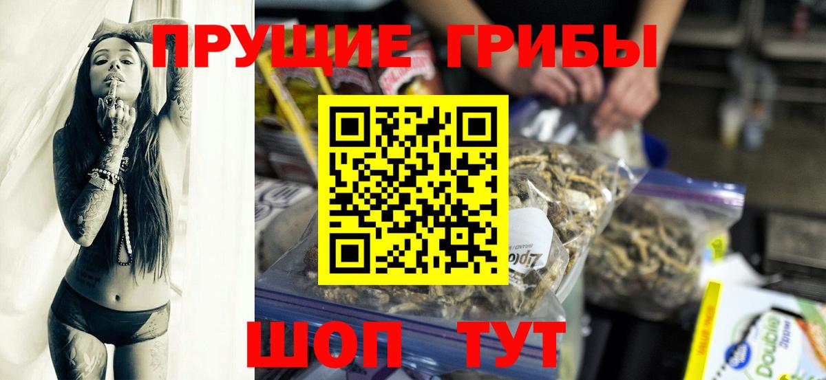 Галлюциногенные грибы Psilocybe  Вход с VPN  Брянск 